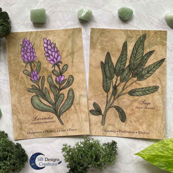 Lavendel-Sage-Planten-Print-A6-Decoratie-1