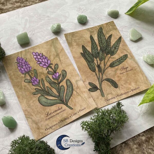 Lavendel-Sage-Planten-Print-A6-Decoratie-2