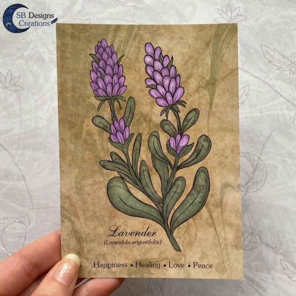 Lavendel-Sage-Planten-Print-A6-Decoratie-3