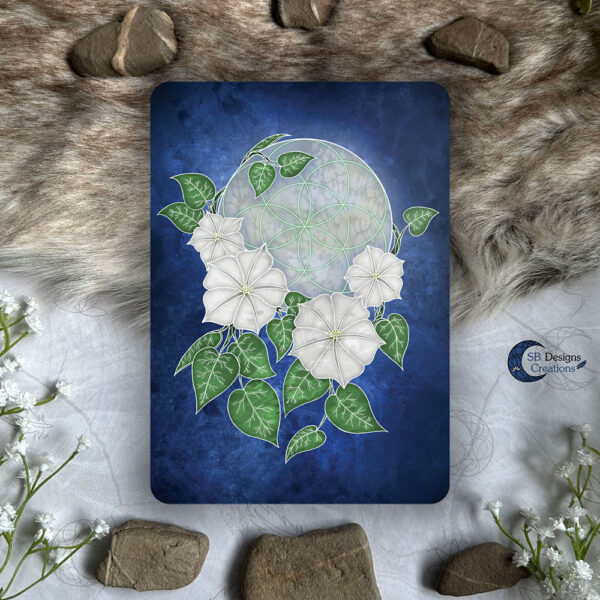 Volle Maan Maanbloemen Ansichtkaart A6 Artprint