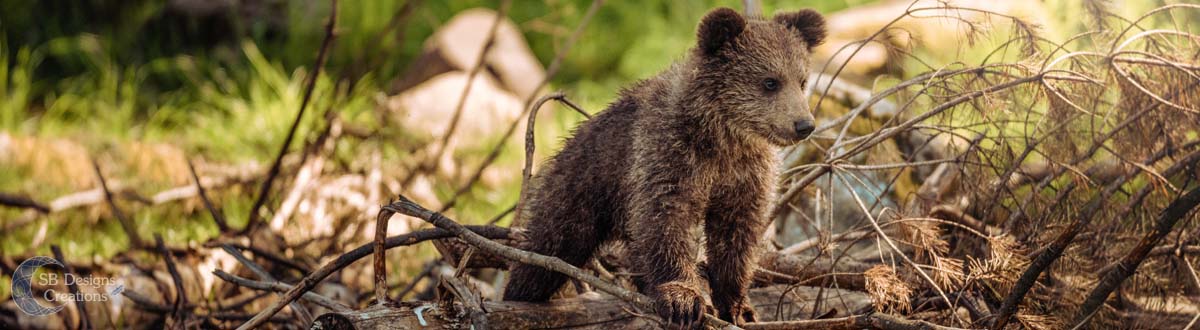 Beer-Bear-Banner-Animal-Spirit-SBDesignsCreations