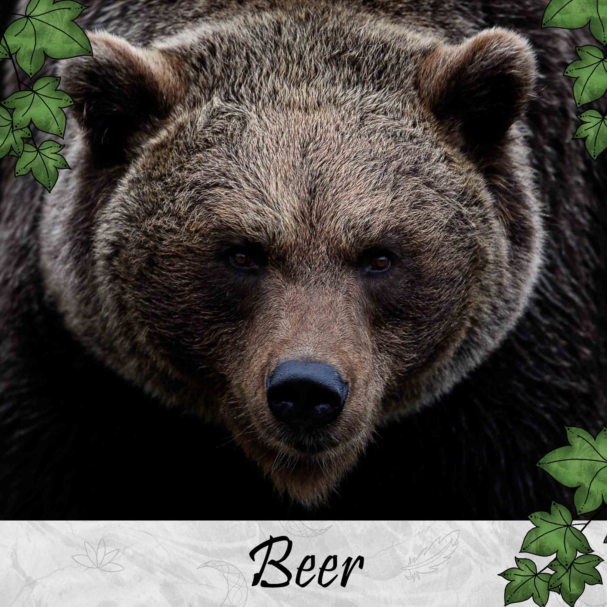 Beer-Krachtdieren-Bear-Spirit-Animals-Thema-Producten-SBDesignsCreations-copy