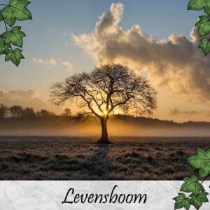 Levensboom