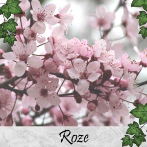 Roze