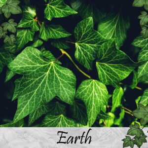 Earth